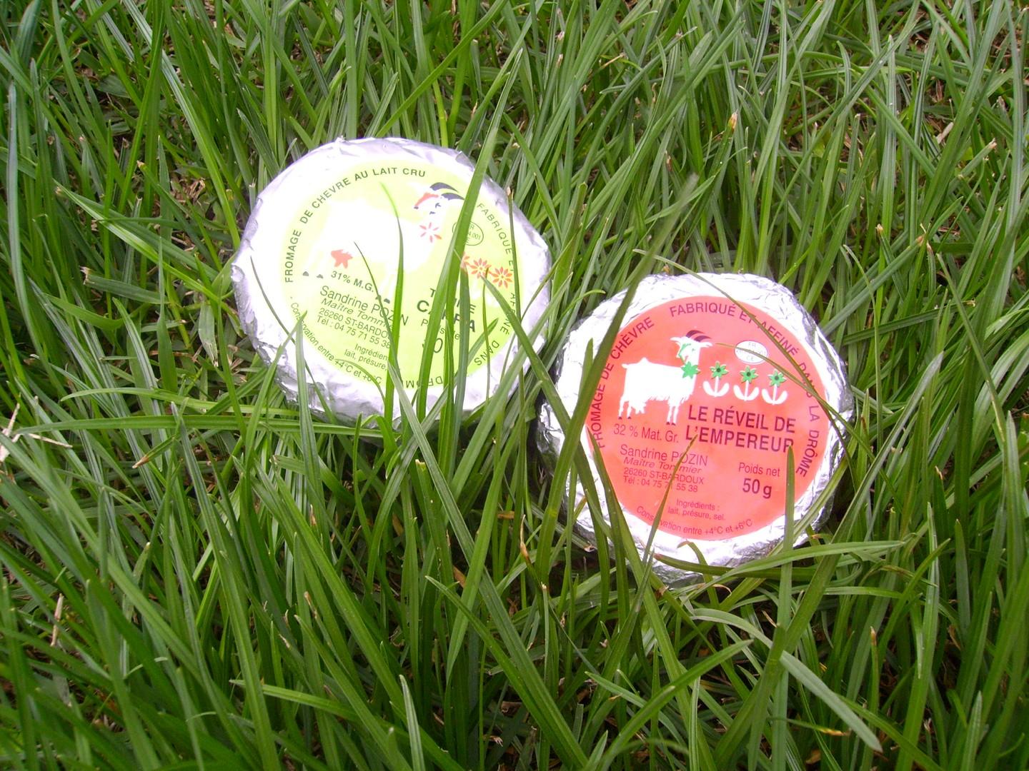You are currently viewing Fromages de chèvres